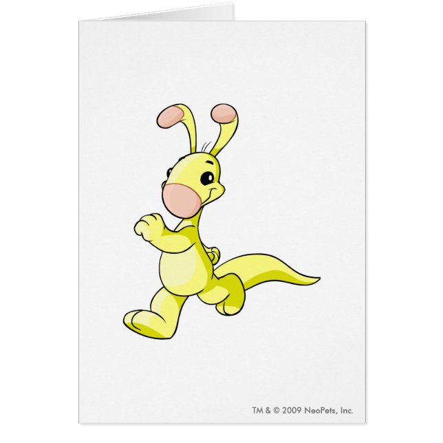 Jaune de Blumaroo (Devant)