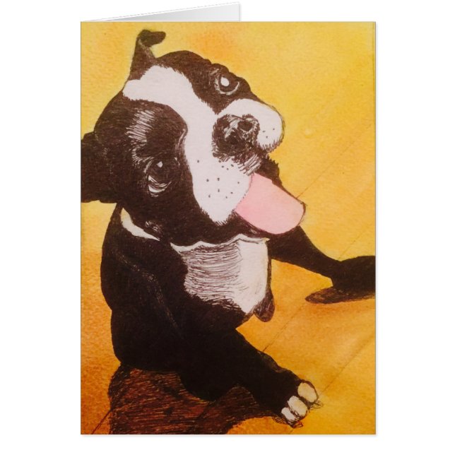 Jaune de Boston Terrier recherchant (Devant)