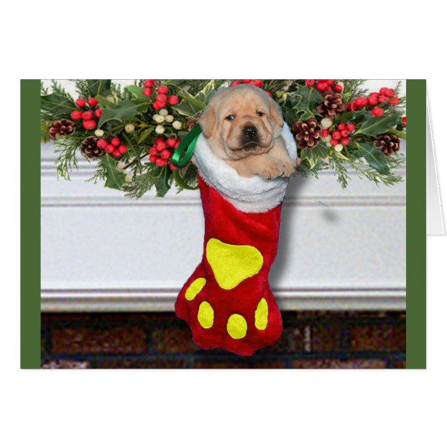 Jaune de la semaine 3 de gratitude (Devant horizontal)