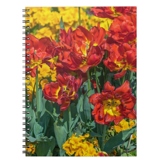 Jaune et rouge fleurit le carnet (Devant)