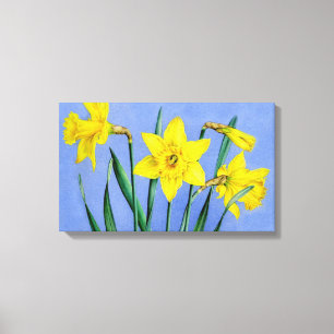 Jaune jonquilles sur papier toile bleu