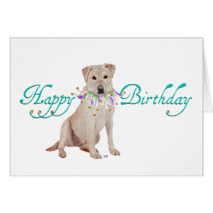 Jaune Labrador Retriever Party