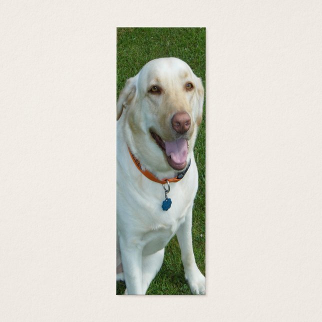 Jaune Labrador Retriever Signet avec initiales (Devant)
