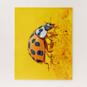 Jaune Ladybird, puzzle (Vertical)