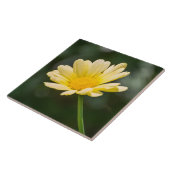 Jaune marguerite vue carreaux céramique (Côté)