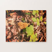 Jaune Morel Puzzle (Horizontal)