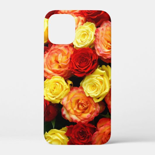 Jaune rouge orange Rose iPhone 12 Mini Coque (Verso)
