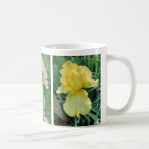 Jaune violet rose Iris Élégant Photo Mug