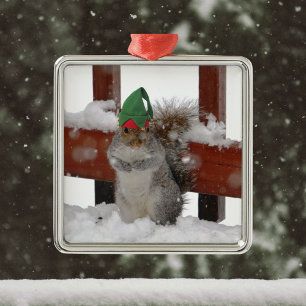 Jaunty Squirrel met Elf Pet kerstversiering Metalen Ornament