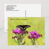 JAV Blackswallow Tail Butterfly 2013 PC 1 Briefkaart (Voorkant / Achterkant)