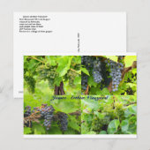 JAV Collage Briefkaart 2013 9 (Voorkant / Achterkant)