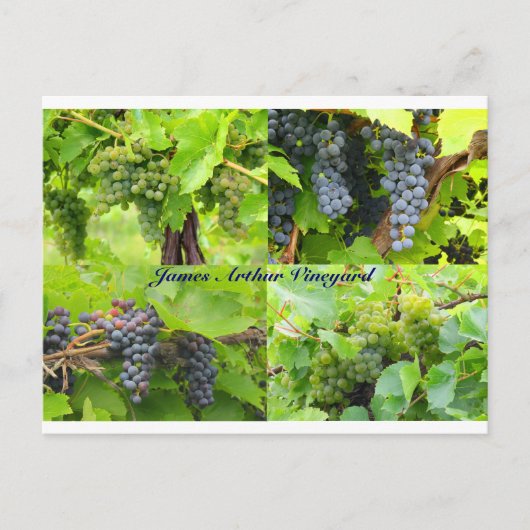 JAV Collage Briefkaart 2013 9 (Voorkant)