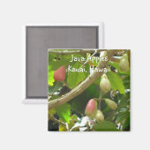 Java Appels Magneet (Voorkant / Achterkant)