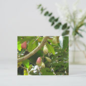Java Apple-structuur Briefkaart (Staand voorkant)