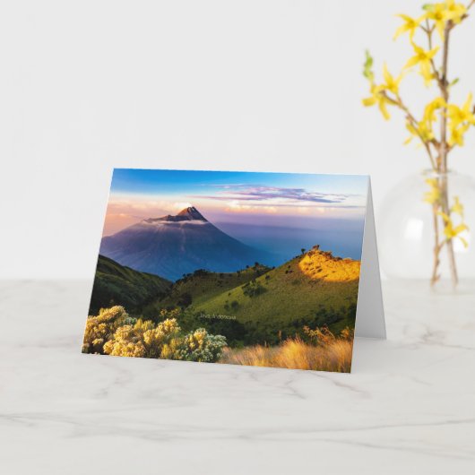 Java, Indonesië, landschapsfoto, Kaart (Gele Bloem)