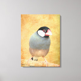 Java Mus Canvas Afdruk