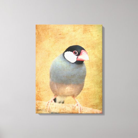 Java Mus Canvas Afdruk (Voorkant)