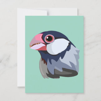 Java Sparrow—vereenvoudigd Briefkaart