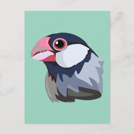 Java Sparrow—vereenvoudigd Briefkaart (Voorkant)
