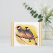 Java Sparrow zoekt realistisch schilderen Briefkaart (Staand voorkant)