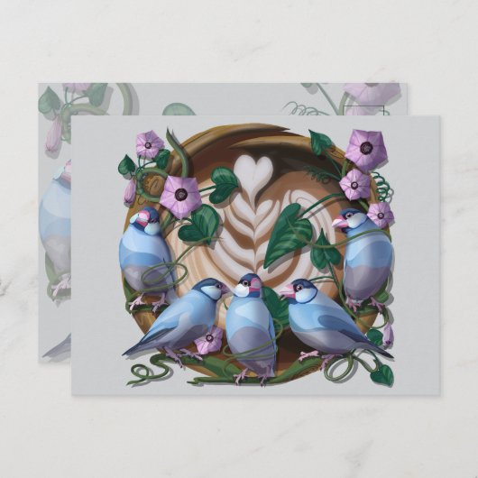 Java Sparrows, Java Coffee Briefkaart (Voorkant / Achterkant)