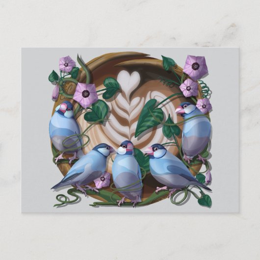 Java Sparrows, Java Coffee Briefkaart (Voorkant)