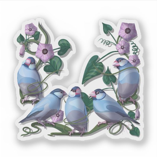 Java sparrows  sticker (Voorkant)