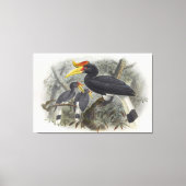 Javaanse neushoornvogel canvas afdruk (Voorkant)