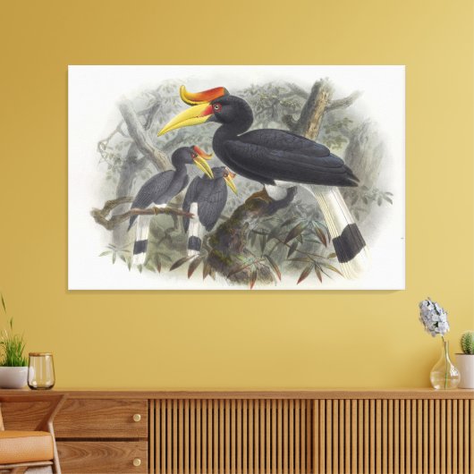 Javaanse neushoornvogel canvas afdruk (Insitu (Woonkamer))