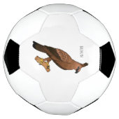 Javan hawk eagle bird cartoon voetbal (Gedraaid)