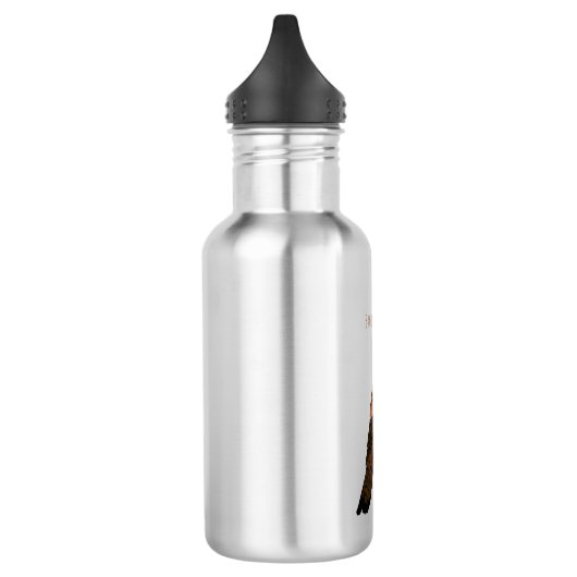 Javan hawk eagle bird cartoon waterfles (Links)