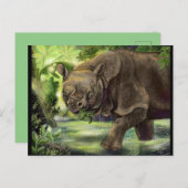 Javan Rhino Art Briefkaart (Voorkant / Achterkant)
