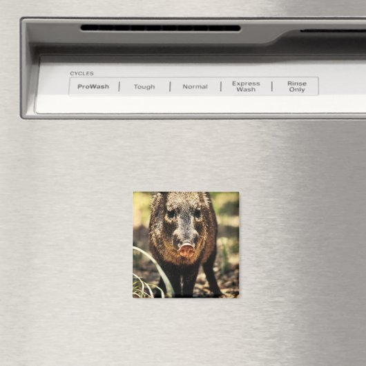 Javelina Magneet (Insitu (Vaatwasser))