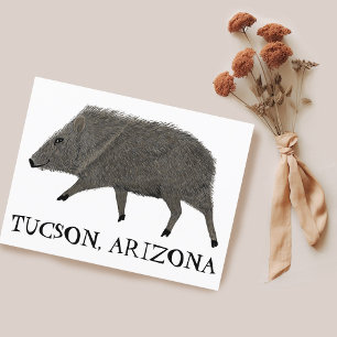 Javelina TUCSON-woestijn Natuur van wilde dieren Briefkaart
