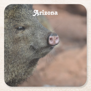 Javelina Vierkante Kartonnen Onderzetter