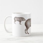 Javelinas a colleté la tasse unique de l'Arizona (Gauche)