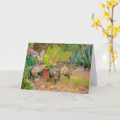 Javelinas in het Casita Kaart (Gele Bloem)