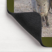 Javelinas mousepad muismat (Hoek)
