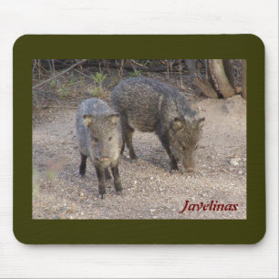 Javelinas mousepad muismat