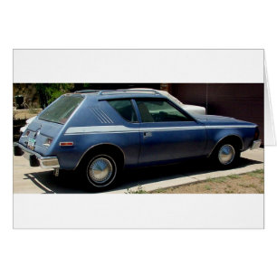 JAVELOT D'AMERICAN MOTORS ET GRAMLIN ET CACTUS