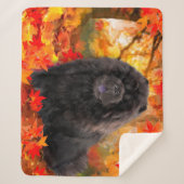 JAX Chow Chow SHERPA couverture (Devant)