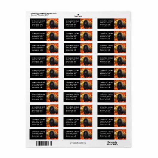 JAX - Return Address Labels Customiz (Full Sheet)