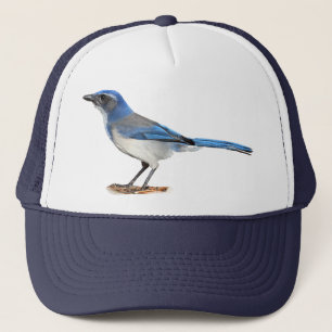 JAY 2 TRUCKER PET