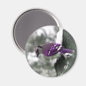 Jay Bird Magnet Magneet (Voorkant / Achterkant)