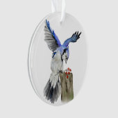 Jay bleu d'oiseau de la forêt (devant)