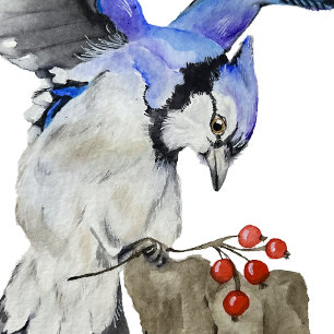 Jay bleu d'oiseau de la forêt