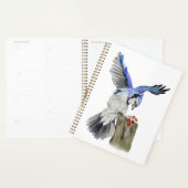 Jay bleu d'oiseau de la forêt (Devant avec enveloppe)