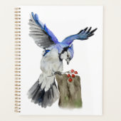 Jay bleu d'oiseau de la forêt (Devant)