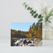 Jay Cook Briefkaart (Staand voorkant)