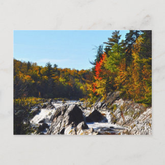 Jay Cook State Park Minnesota Briefkaart